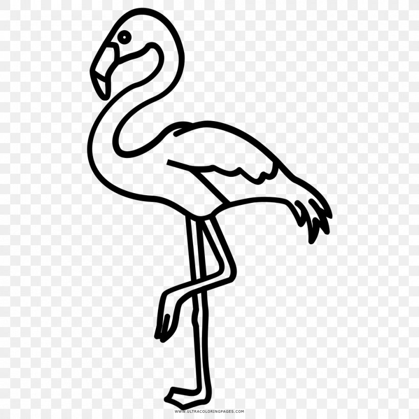 Flamingos Beak Black And White Drawing Coloring Book, PNG, 1000x1000px, Flamingos, Animal Figure, Area, Arm, Artwork Download Free