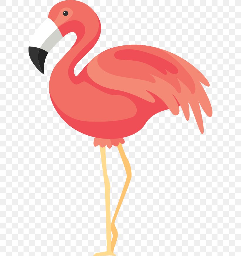 Flamingos Rendering Icon, PNG, 626x874px, Flamingo, Beak, Bird, Chicken, Clip Art Download Free