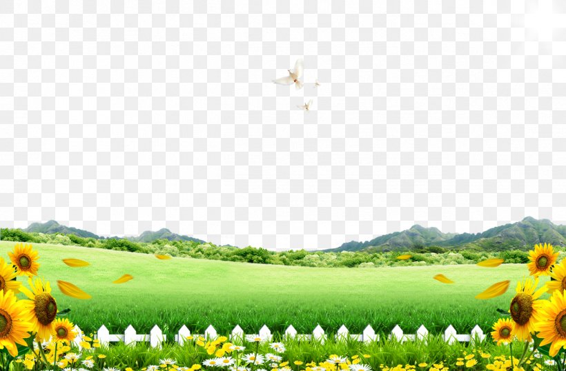 Lake Tai Poster Spring, PNG, 1297x852px, Lake Tai, Field, Flower, Flowering Plant, Fukei Download Free