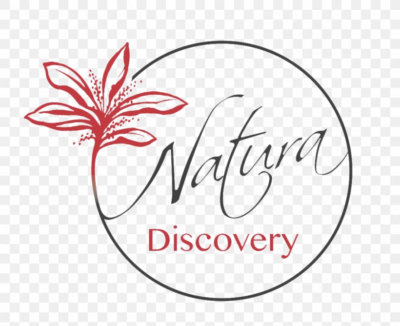 Natura Discovery Bora Bora Logo Island Lagoon Jeep, PNG, 1068x871px, Logo, Area, Artwork, Bora Bora, Brand Download Free