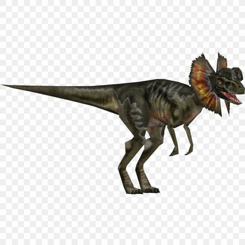 Velociraptor Dilophosaurus Allosaurus Dinosaur Tyrannosaurus, PNG, 998x998px, Velociraptor, Allosaurus, Carnotaurus, Dilophosaurus, Dinosaur Download Free