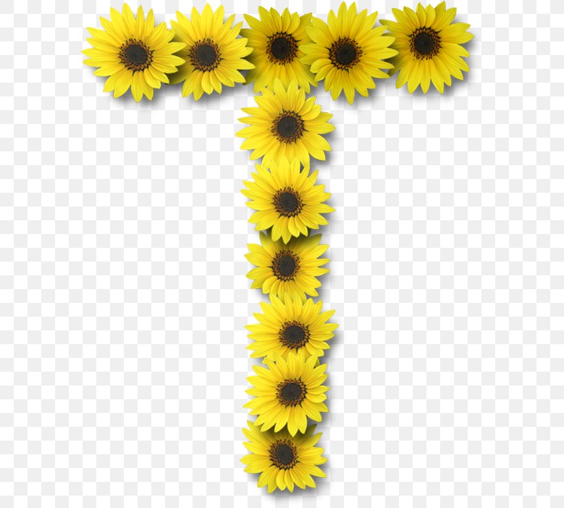 Common Sunflower Letter Case Alphabet, PNG, 588x738px, Common Sunflower, Alphabet, Daisy Family, Flower, Flowering Plant Download Free