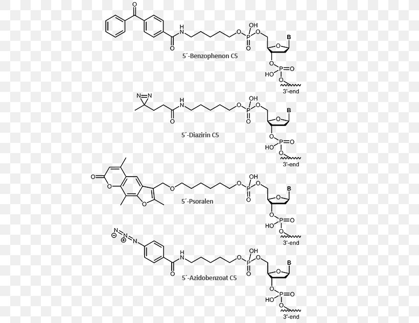Methylene Blue Anthraquinone Molecule Oligonucleotide Covalent Bond, PNG, 650x633px, Watercolor, Cartoon, Flower, Frame, Heart Download Free