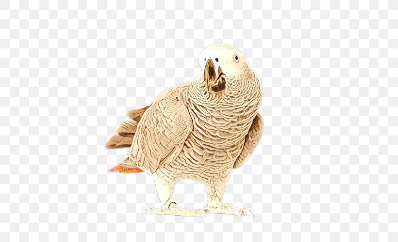 Bird Parrot, PNG, 500x500px, Beak, African Grey, Animal, Animal Figure, Bird Download Free