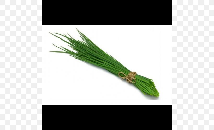 Chives Herb Onion Basil Scallion, PNG, 500x500px, Chives, Allium, Basil, Boursin Cheese, Coriander Download Free