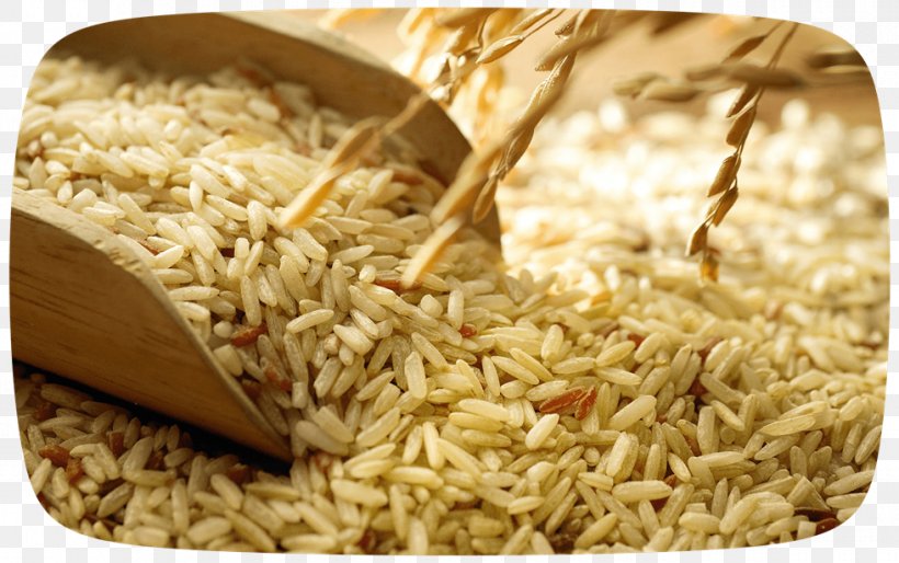 Rice Bran Oil Rice Bran Oil Cereal Food, PNG, 980x615px, Rice, Animal Feed, Basmati, Bran, Brown Rice Download Free