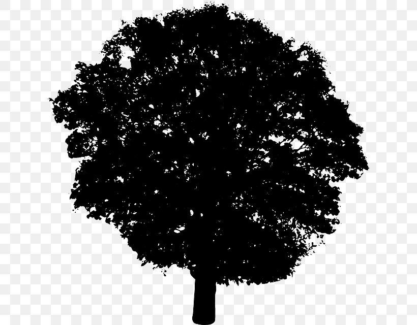 Silhouette Clip Art, PNG, 632x640px, Silhouette, Black, Black And White, Branch, Leaf Download Free