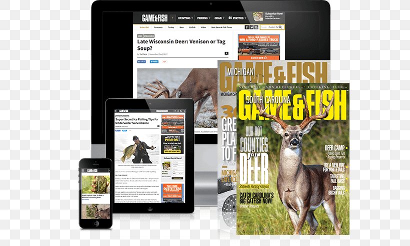 Outdoor Sportsman Group Hunting National Brand Game Fish, PNG, 590x493px, Outdoor Sportsman Group, Advertising, Animal, Brand, Fish Download Free