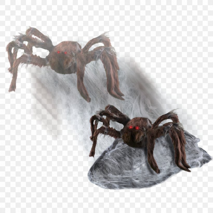 Spider Spirit Halloween Haunted Attraction Costume, PNG, 1000x1000px, Spider, Animatronics, Arachnid, Arthropod, Costume Download Free