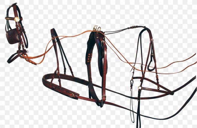 Bridle Rein Line, PNG, 1024x668px, Bridle, Auto Part, Horse Tack, Rein, Wire Download Free