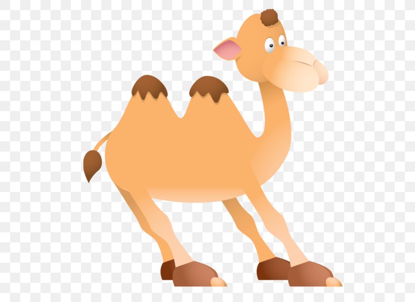 Camel Camelid Arabian Camel Animal Figure Cartoon, PNG, 600x598px, Camel, Animal Figure, Arabian Camel, Bactrian Camel, Camelid Download Free