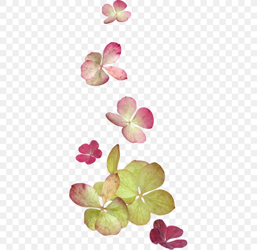 Flower Image Clip Art Painting, PNG, 377x800px, Flower, Art, Cut Flowers, Floral Design, Flowering Plant Download Free