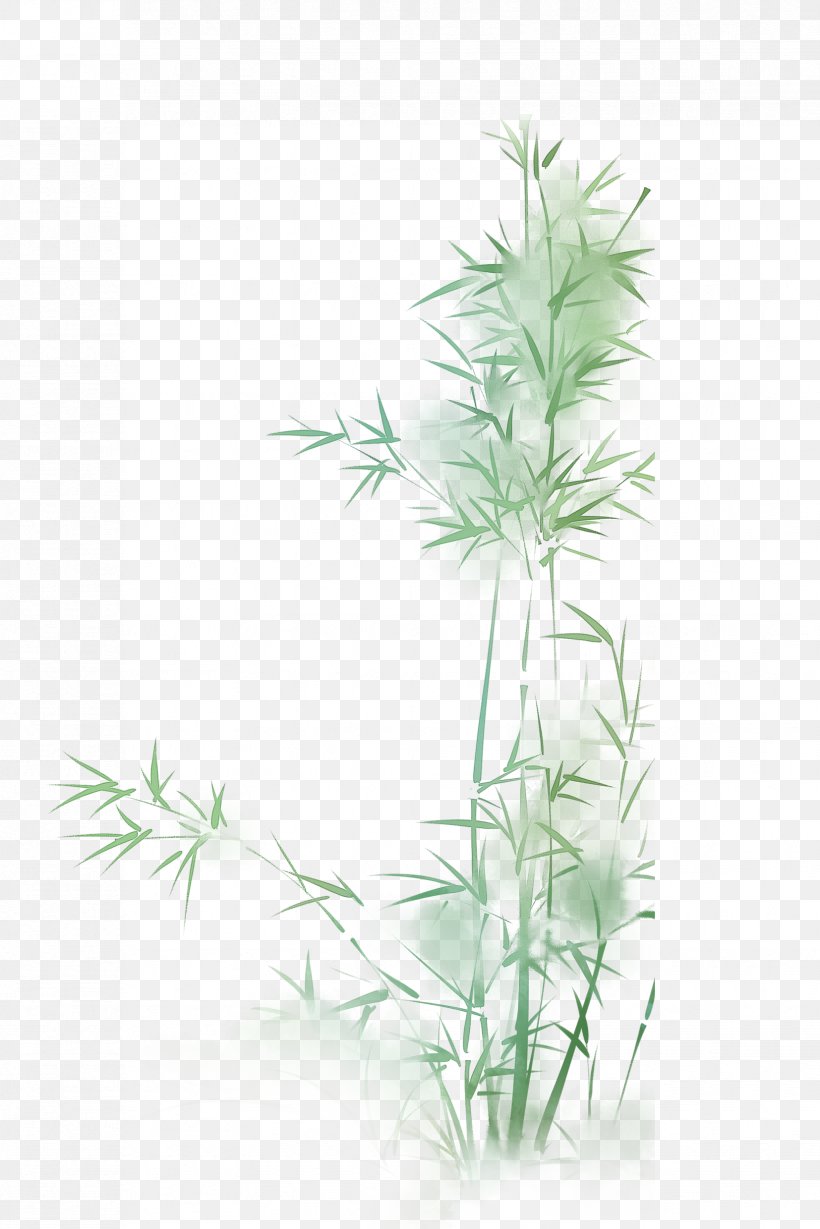 Green Bamboo, PNG, 1654x2480px, Green, Bamboe, Bamboo, Color, Flowerpot Download Free