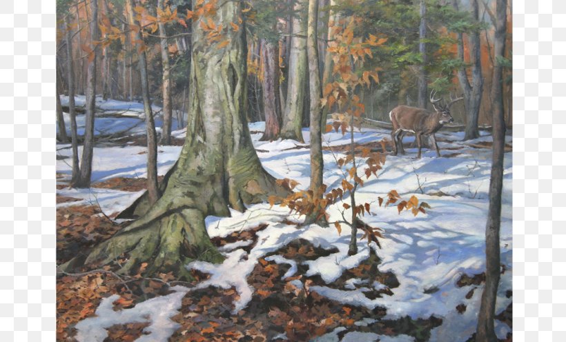 Painting Art Canvas White-tailed Deer Giclée, PNG, 800x496px, Painting, Art, Artist, Bayou, Branch Download Free