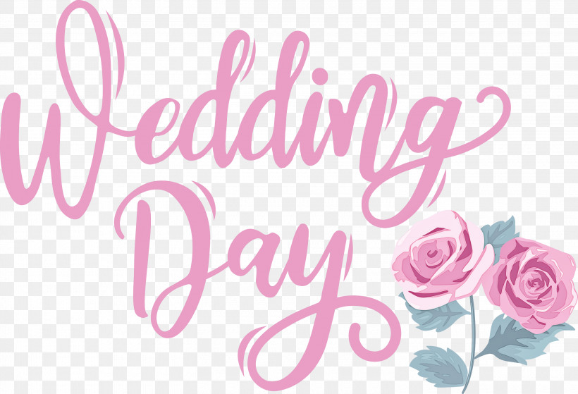 Wedding Day Wedding, PNG, 3000x2046px, Wedding Day, Floral Design, Garden, Garden Roses, Greeting Download Free