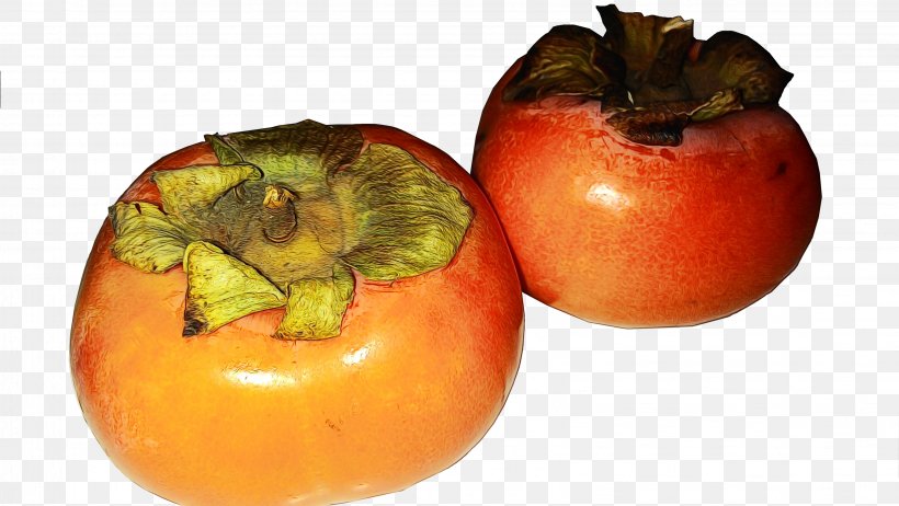 Winter Trees, PNG, 3264x1840px, Persimmon, Apple, Bush Tomato, Common Persimmon, Diospyros Download Free