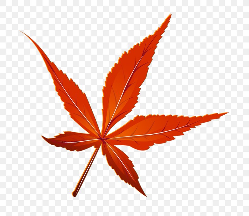 Autumn Leaf Color Clip Art, PNG, 738x712px, Leaf, Autumn, Autumn Leaf Color, Maple Leaf, Mime Download Free