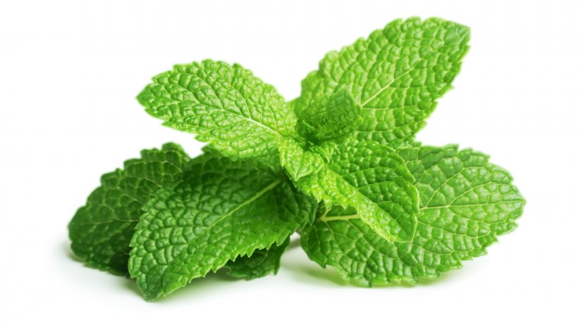 Chewing Gum Peppermint Mentha Spicata Herb, PNG, 1960x1120px, Chewing Gum, Flavor, Food, Herb, Herbal Download Free