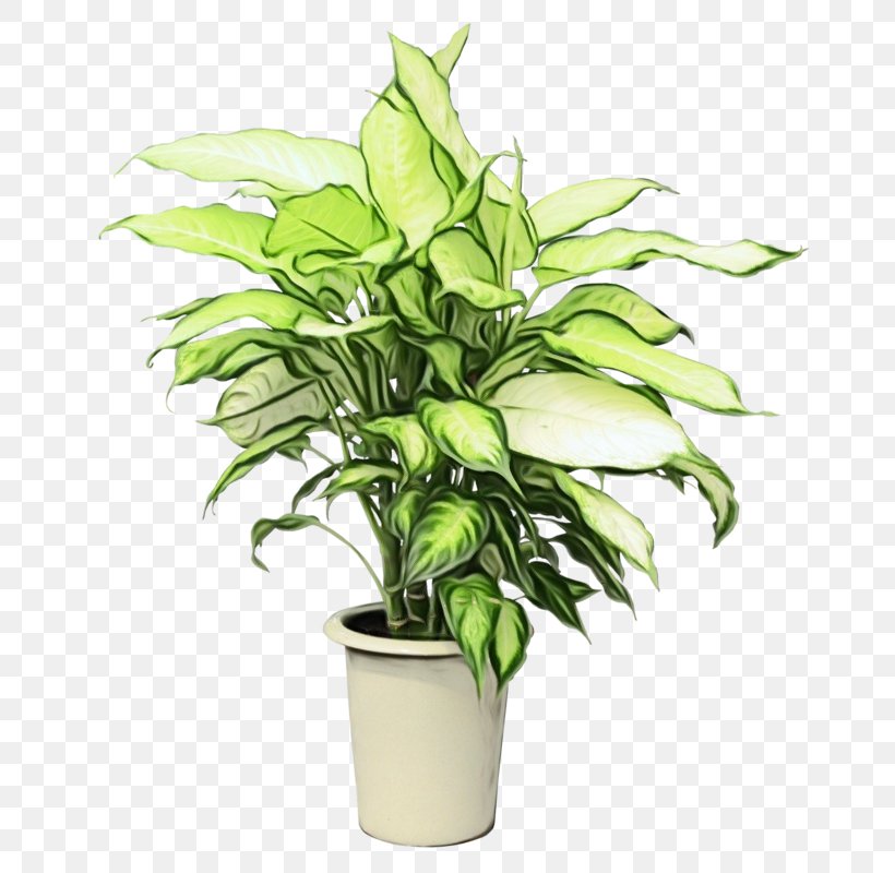 Flowerpot Flower Plant Houseplant Leaf, PNG, 686x800px, Watercolor, Anthurium, Flower, Flowering Plant, Flowerpot Download Free