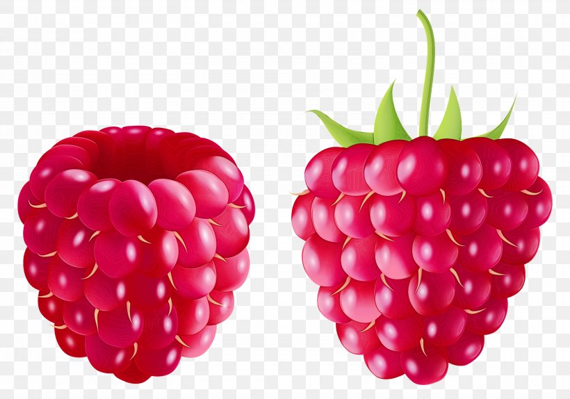 Indian Food, PNG, 3000x2103px, Raspberry, Accessory Fruit, Berries, Berry, Blackberry Download Free