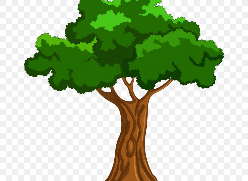 Tree Clip Art, PNG, 678x600px, Tree, Animation, Art, Cartoon, Document Download Free