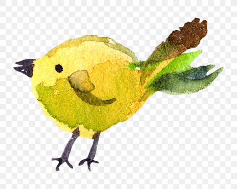 Watercolor Painting Download, PNG, 900x720px, Watercolor Painting, Beak, Bird, Cartoon, Fauna Download Free