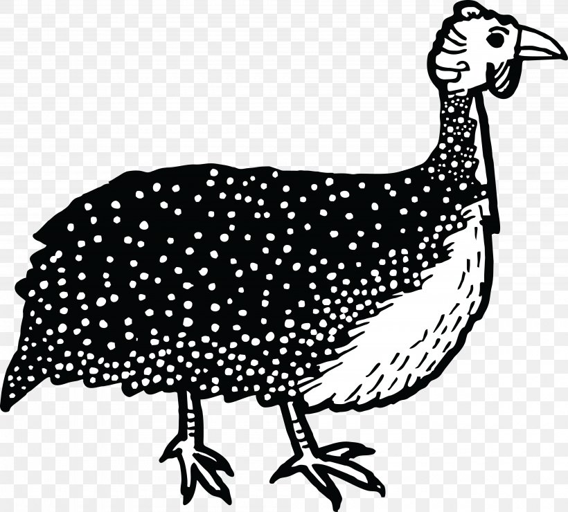 Chicken Domestic Guineafowl Bird Clip Art, PNG, 4000x3610px, Chicken, Beak, Bird, Black And White, Domestic Guineafowl Download Free