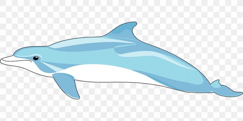 Common Bottlenose Dolphin Windows Metafile Clip Art, PNG, 960x480px, Common Bottlenose Dolphin, Dolphin, Fauna, Fin, Fish Download Free