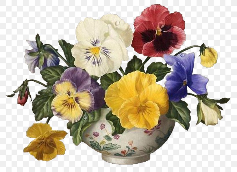 Pansy Cut Flowers Violet Clip Art, PNG, 800x598px, Pansy, Annual Plant, Chomikujpl, Cut Flowers, Email Download Free