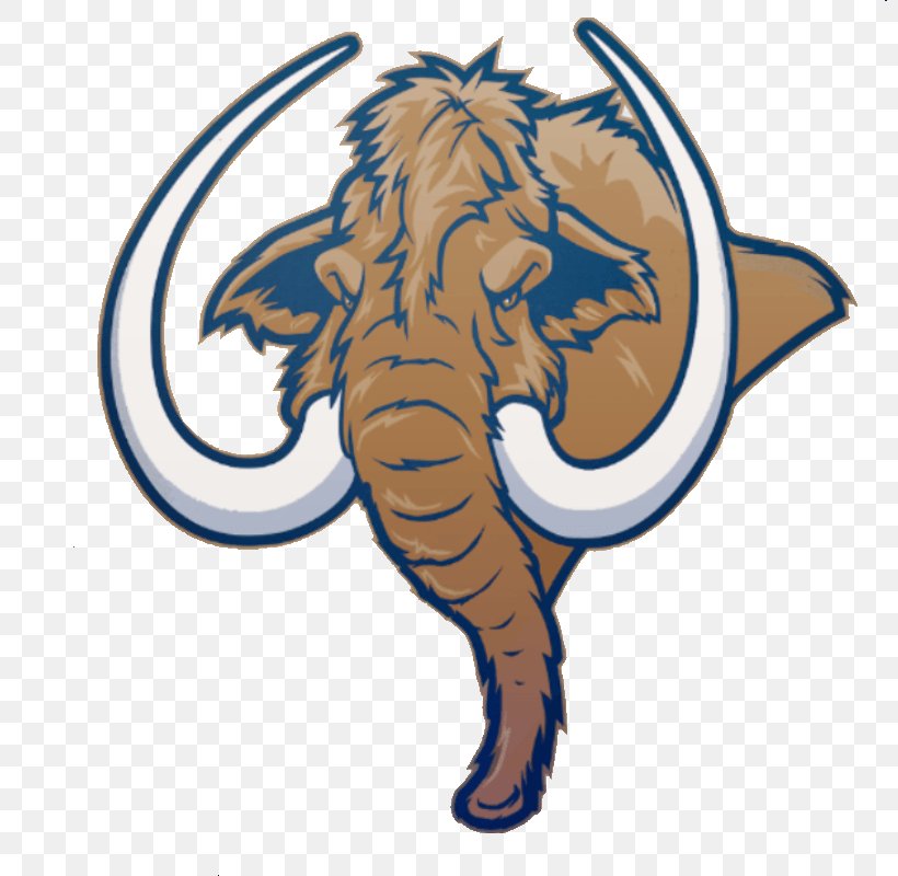African Elephant Logo Sport Woolly Mammoth, PNG, 800x800px, African Elephant, Advertising, Art, Big Cats, Carnivoran Download Free