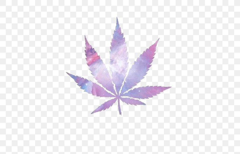 Cannabis Smoking Desktop Wallpaper Medical Cannabis, PNG, 498x527px, Cannabis, Cannabis Shop, Cannabis Smoking, Dispensary, Grow Box Download Free