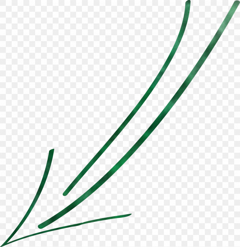 Hand Drawn Arrow, PNG, 2924x3000px, Hand Drawn Arrow, Green, Line, Plant Download Free