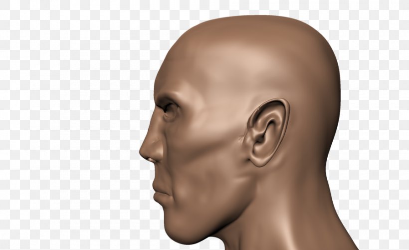 Human Head Face Human Body Skull, PNG, 900x550px, Human Head, Anatomy, Cheek, Chin, Drawing Download Free