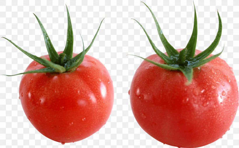 Plum Tomato Cherry Tomato Bush Tomato, PNG, 2790x1735px, Tomato Juice, Bush Tomato, Cherry Tomato, Diet Food, Food Download Free