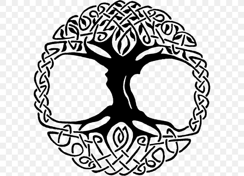 Tree Of Life Vector Graphics Clip Art Illustration Cdr, PNG, 594x592px, Tree Of Life, Blackandwhite, Cdr, Celtic Knot, Celtic Sacred Trees Download Free