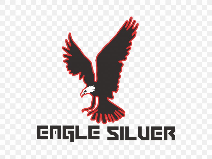 Eagle Logo Brand Flight Font, PNG, 1600x1200px, Eagle, Beak, Bird, Bird Of Prey, Brand Download Free