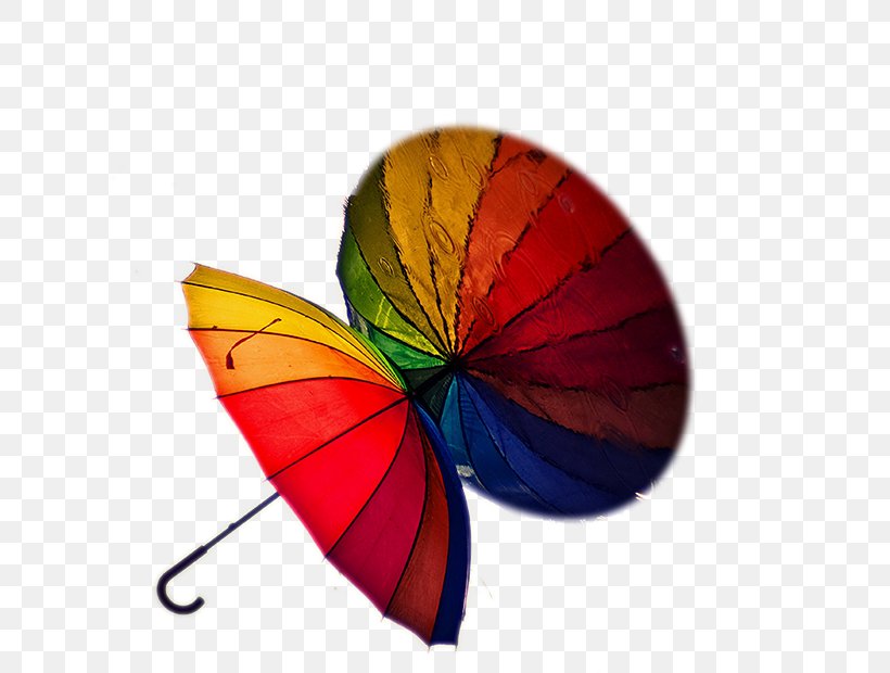 Umbrella Painting Auringonvarjo Rain, PNG, 620x620px, Umbrella, Art, Auringonvarjo, Butterfly, Deviantart Download Free
