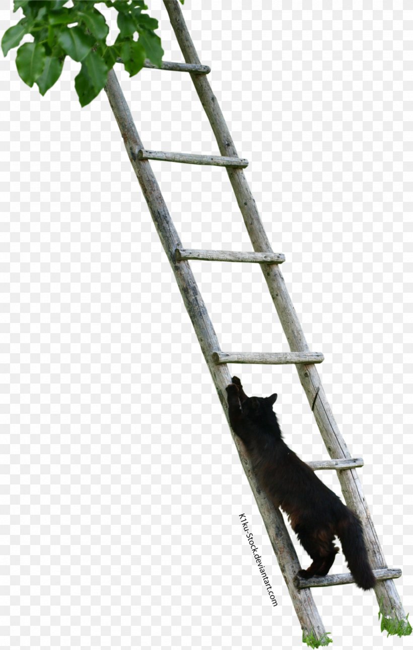 Cat Stock Photography Ladder, PNG, 1024x1609px, Cat, Branch, Climbing, Company, Deviantart Download Free