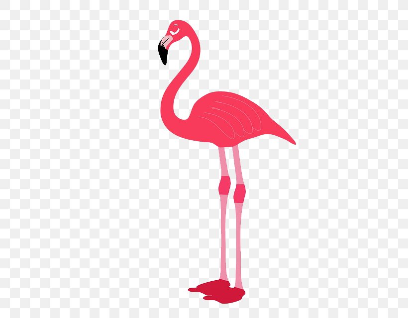 Flamingo Bird Stock Photography Clip Art, PNG, 533x640px, Flamingo, Beak, Bird, Illustration, Pattern Download Free