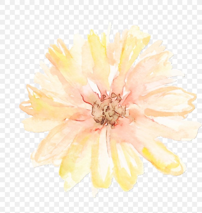 Pink Flower Cartoon, PNG, 1516x1600px, Watercolor, Beige, Chrysanthemum, Common Zinnia, Dahlia Download Free