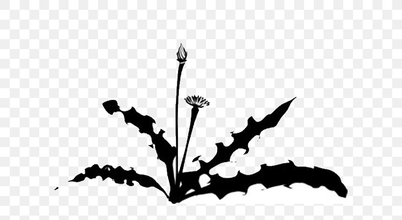 Weed Garden String Trimmer Clip Art, PNG, 615x449px, Weed, Black, Black And White, Branch, Dandelion Download Free