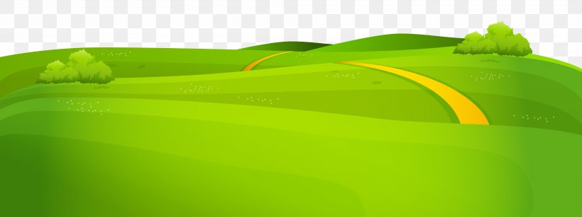 Grasses Lawn GRASS GIS Definition Mower, PNG, 8000x3003px, Lawn, Cover Version, Flower, Grass, Green Download Free