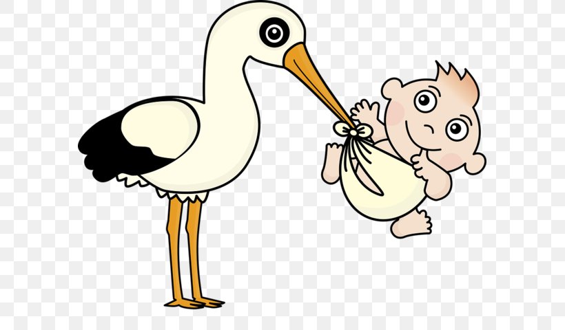 Infant Crane Childbirth Clip Art, PNG, 593x480px, Infant, Artwork, Beak, Bird, Child Download Free