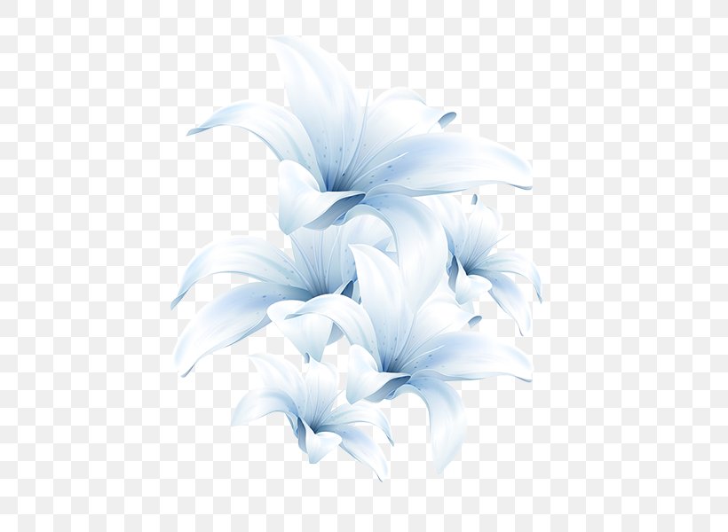 Madonna Lily Clip Art Desktop Wallpaper Image Flower, PNG, 600x600px, Madonna Lily, Blue, Flower, Lily, Painting Download Free