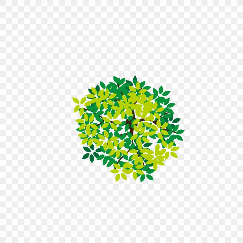 Tree Icon, PNG, 6250x6250px, Tree, Camphor Tree, Container, Grass, Green Download Free