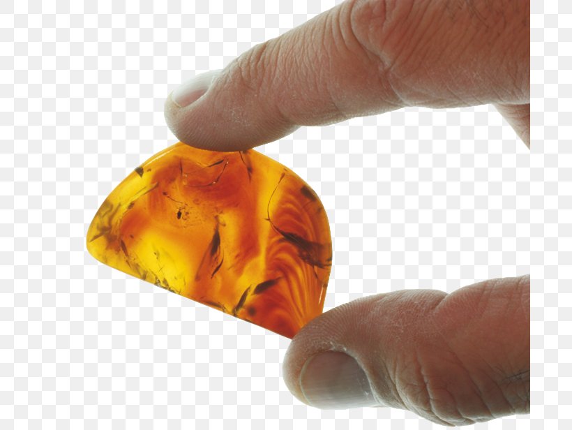 Amber Room Light Tsarskoye Selo Geological And Mining Institute Of Spain, PNG, 700x616px, Amber Room, Amber, Catherine Palace, Finger, Light Download Free