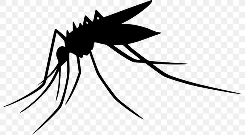 Yellow Fever Mosquito Insect Vector, PNG, 800x452px, Mosquito, Aedes Albopictus, Artwork, Black, Black And White Download Free