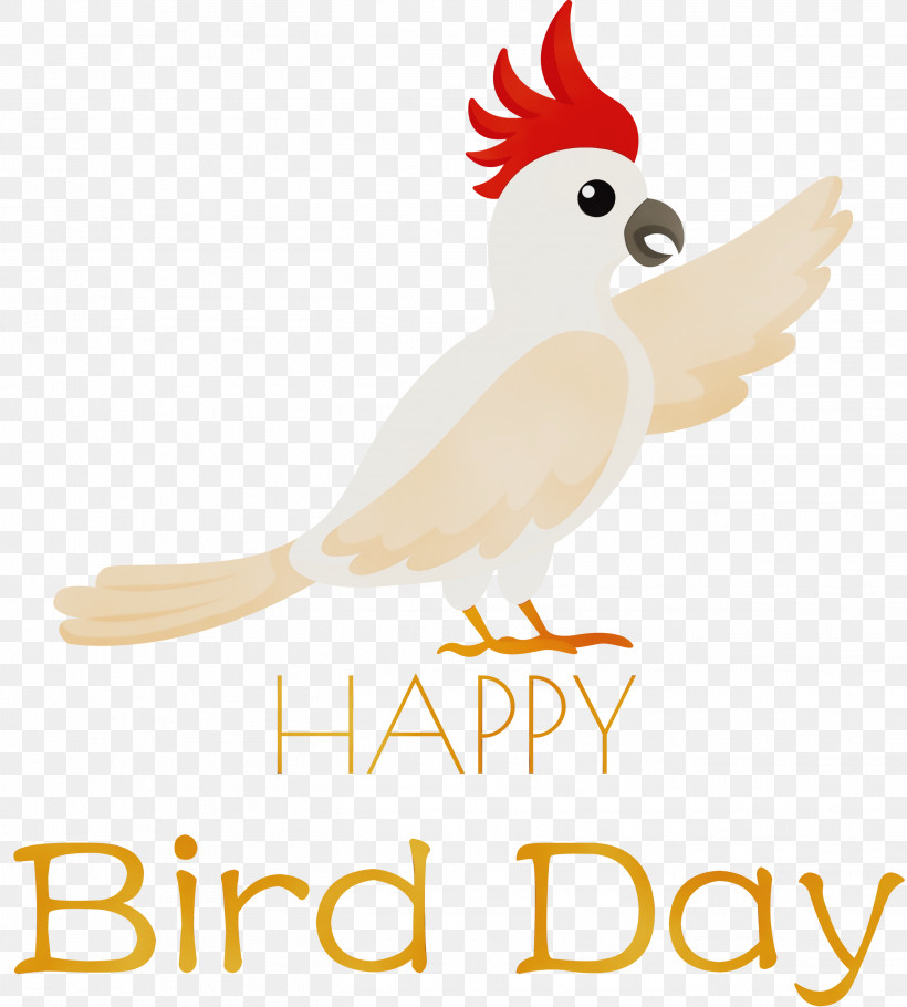 Feather, PNG, 2703x3000px, Bird Day, Beak, Chicken, Feather, Landfowl Download Free