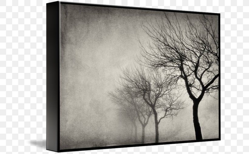 Gallery Wrap Photography Canvas Picture Frames Art, PNG, 650x507px, Gallery Wrap, Art, Black And White, Branch, Canvas Download Free