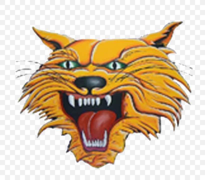 Kalida High School Ottoville National Secondary School, PNG, 720x720px, Kalida High School, Bear, Big Cats, Carnivoran, Cat Like Mammal Download Free